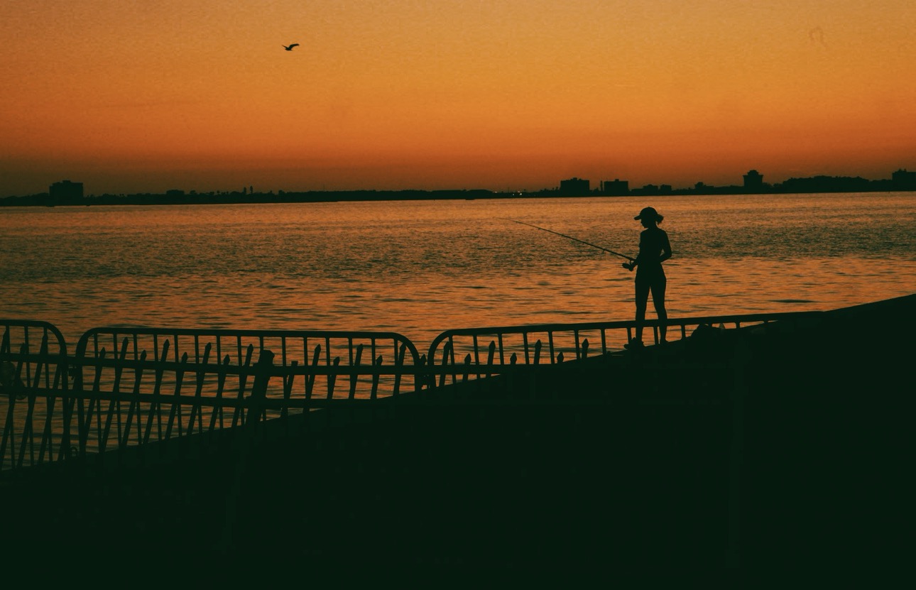 Primordial poster image